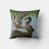 Entschuldigung Kissen (Rückseite)