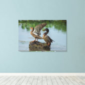 Entschuldigung Leinwanddruck (Insitu (Holzboden))