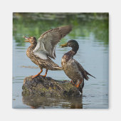 Entschuldigung Magnet (Vorne)