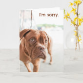 Entschuldigung mit schuldhaftem Hund Karte (Gelbe Blume)