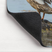 Entschuldigung Mousepad (Ecke)