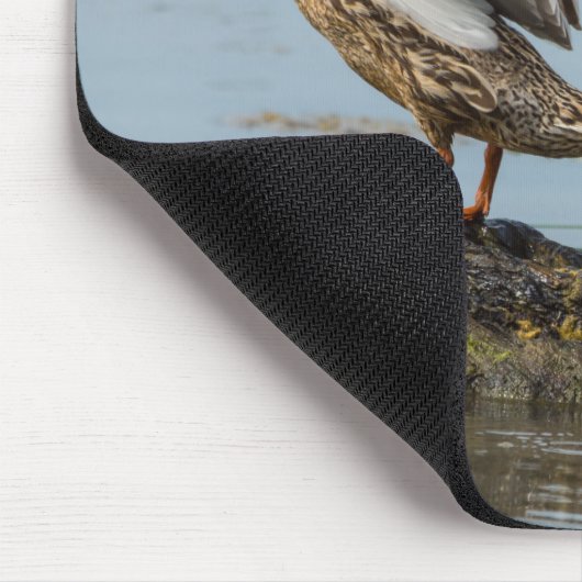 Entschuldigung Mousepad (Ecke)