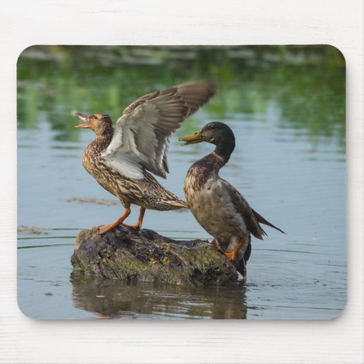 Entschuldigung Mousepad (Vorne)