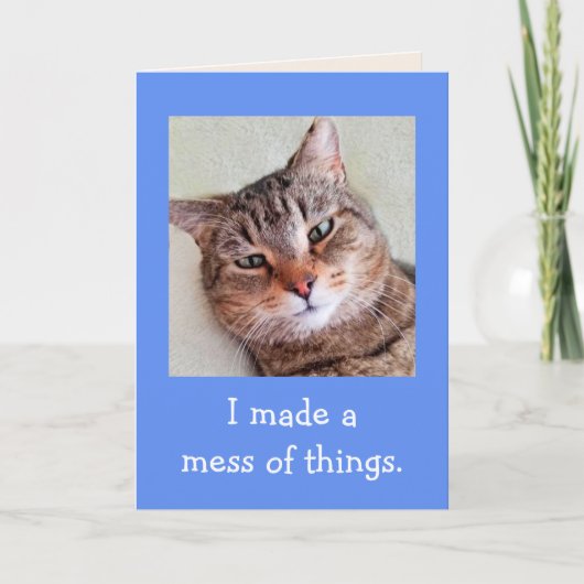 Entschuldigung Niedliche Katzenapologie Karte (Vorderseite)