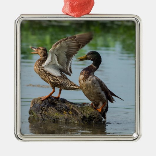 Entschuldigung Ornament Aus Metall (Vorne)