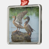 Entschuldigung Ornament Aus Metall (Links)