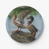 Entschuldigung Pappteller (Vorderseite)