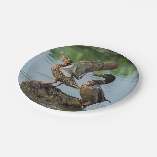 Entschuldigung Pappteller (Schrägansicht)