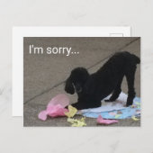 Entschuldigung Poodle Postkarte (Vorne/Hinten)