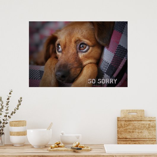 Entschuldigung Poster (Küche)