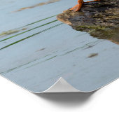 Entschuldigung Poster (Ecke)