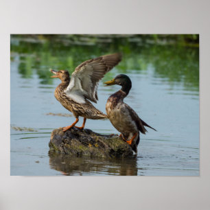 Entschuldigung Poster