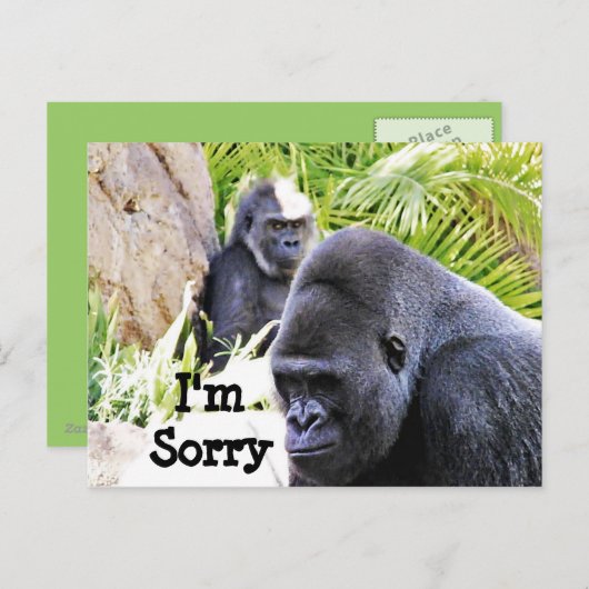 Entschuldigung!_ Postkarte (Vorne/Hinten)