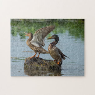 Entschuldigung Puzzle