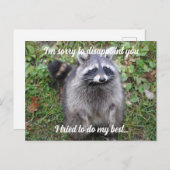Entschuldigung Raccoon entschuldigen Postkarte (Vorne/Hinten)