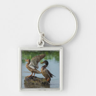 Entschuldigung Schlüsselanhänger