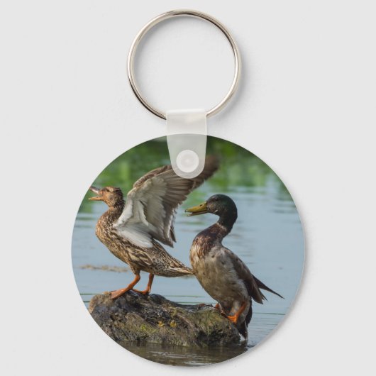 Entschuldigung Schlüsselanhänger (Vorderseite)