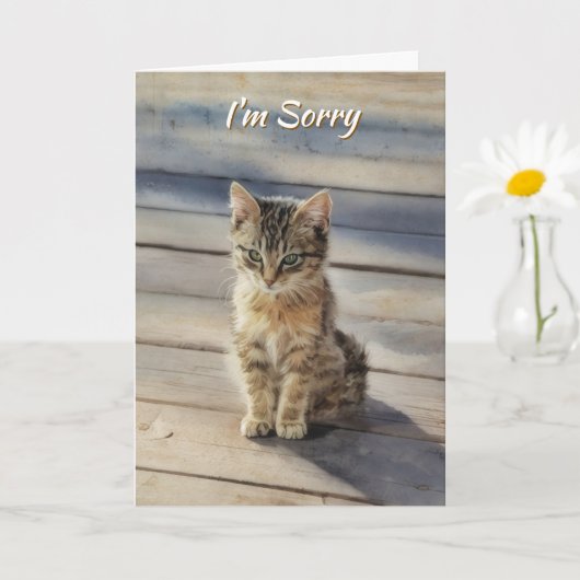 Entschuldigung Süße Katzenkarte Karte (Kleine Pflanze)