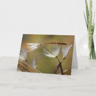 Entschuldigung zum Verlust Löwenzahn mit Gedicht Karte