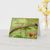 Entschuldigungskarte Entschuldigen Sie, dass Sie k Karte (Gelbe Blume)