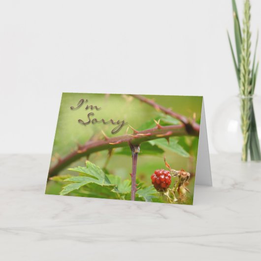 Entschuldigungskarte Entschuldigen Sie, dass Sie k Karte (Vorderseite)