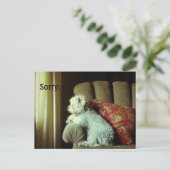 Entschuldigungskarte~wenn "sorry" das alles sagt. postkarte (Stehend Vorderseite)