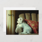 Entschuldigungskarte~wenn "sorry" das alles sagt. postkarte (Vorne/Hinten)