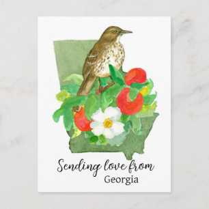Entsendung von Liebe aus der Georgia Bird Peach Ro Postkarte