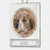 Entsetztes Eichhörnchen Banner-Ornament Silber (Links)