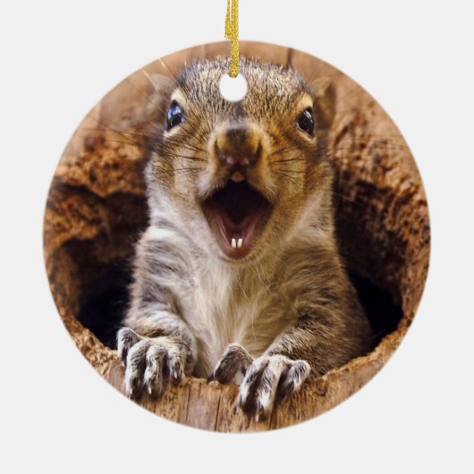 Entsetztes Eichhörnchen Keramikornament (Hinten)