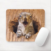 Entsetztes Eichhörnchen Mousepad (Mit Mouse)