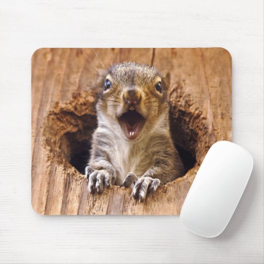 Entsetztes Eichhörnchen Mousepad (Mit Mouse)