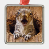 Entsetztes Eichhörnchen Silbernes Ornament (Vorne)