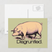 Entsetztes Schwein Postkarte (Vorne/Hinten)