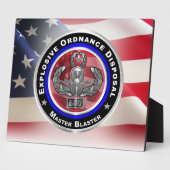 Entsorgung explosiver Stoffe (EOD) Fotoplatte (Seite)