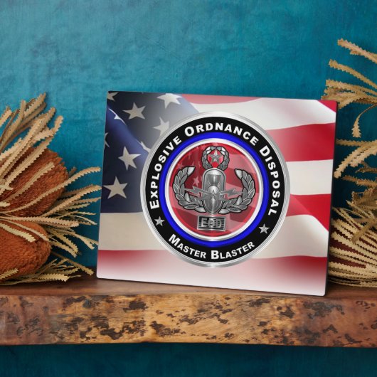 Entsorgung explosiver Stoffe (EOD) Fotoplatte (Seite)