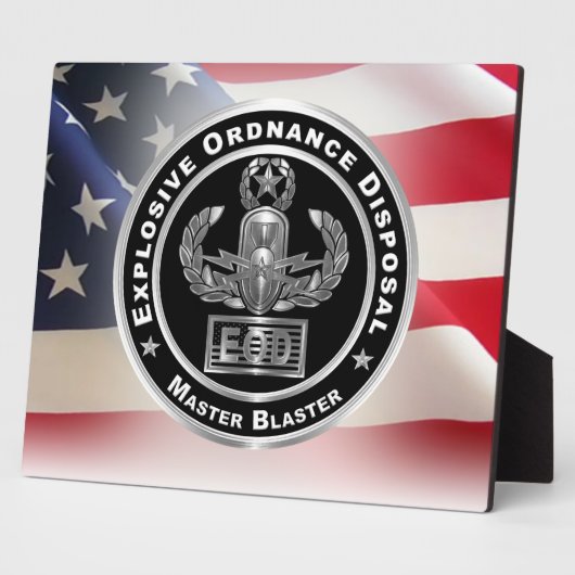 Entsorgung explosiver Stoffe (EOD) Fotoplatte (Seite)