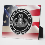 Entsorgung explosiver Stoffe (EOD) Fotoplatte (Seite)