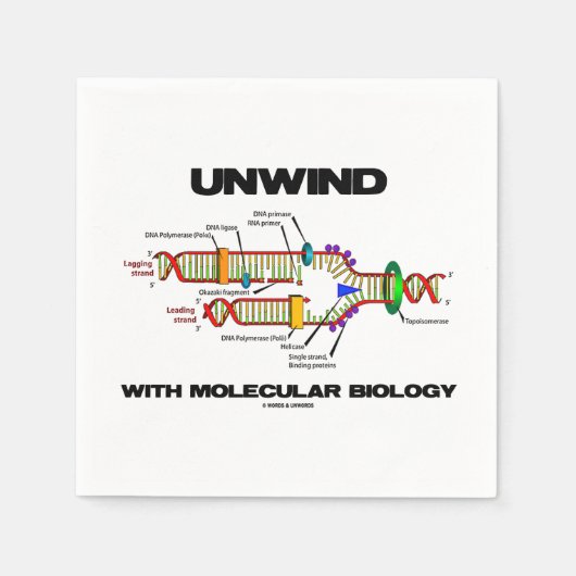 Entspaltung bei molekularer Biologie-DNA-Replikati Serviette (Vorderseite)
