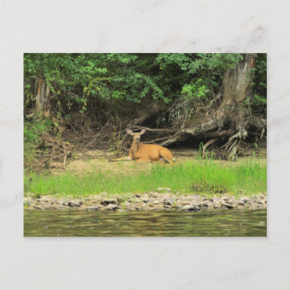 Entspannen am Kettle Postkarte