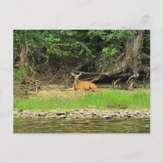 Entspannen am Kettle Postkarte (Vorderseite)