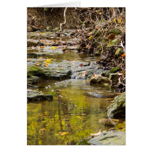 Entspannen bei Nordkriegen (Vorne)