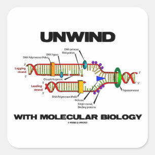 Entspannen mit molekularer Biologie (DNA-Replikati Quadratischer Aufkleber