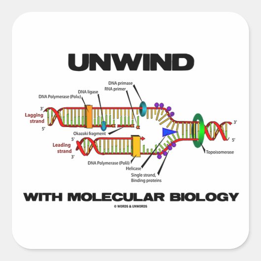 Entspannen mit molekularer Biologie (DNA-Replikati Quadratischer Aufkleber (Vorderseite)