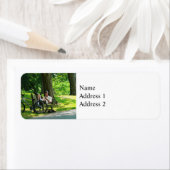 Entspannen nach dem Reiten (Insitu)