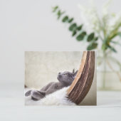 Entspannen Postkarte (Stehend Vorderseite)