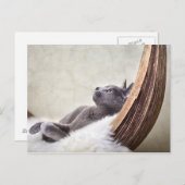 Entspannen Postkarte (Vorne/Hinten)