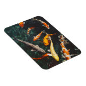 Entspannen Sie am Orange & White Asian Koi Fish Po Magnet (Rechte Seite)