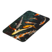Entspannen Sie am Orange & White Asian Koi Fish Po Magnet (Linke Seite)