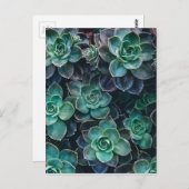 Entspannen Sie die Pflanze der grünen blauen Kakte Postkarte (Vorne/Hinten)